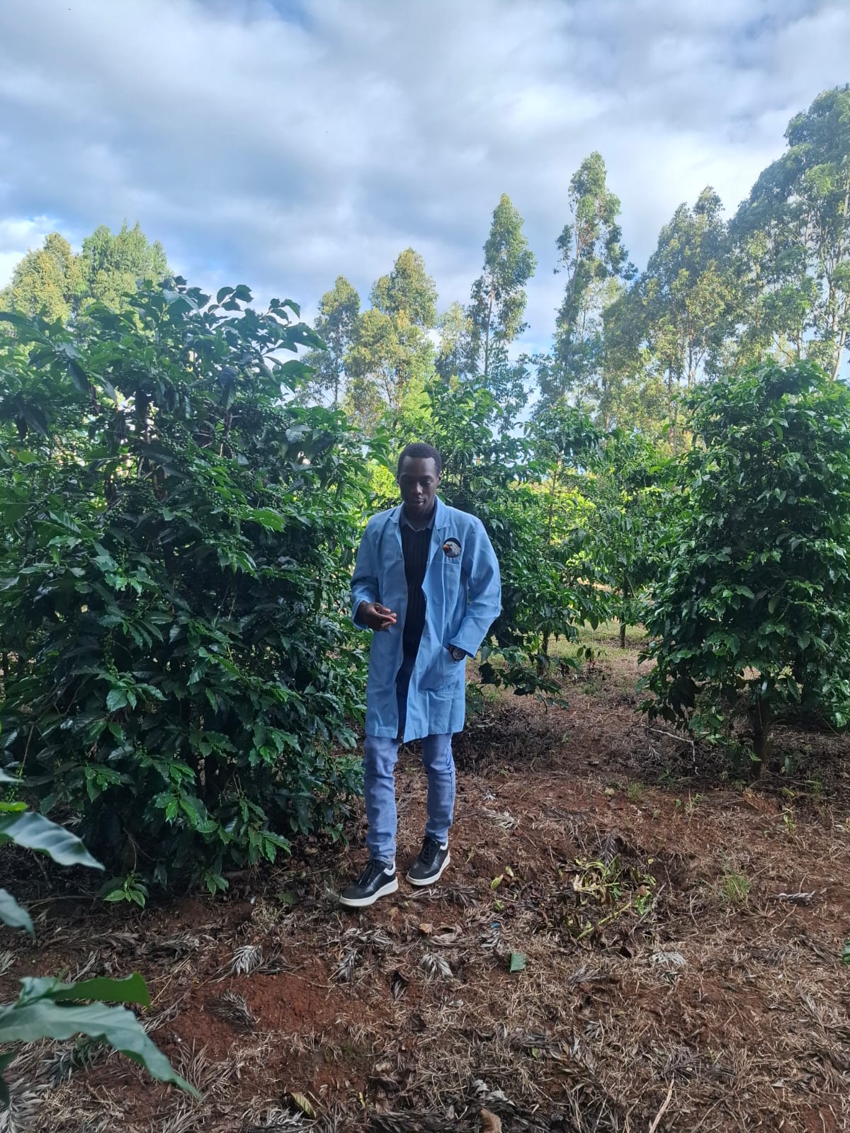 Coffee farmer portrait