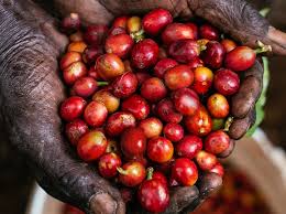 Harvest